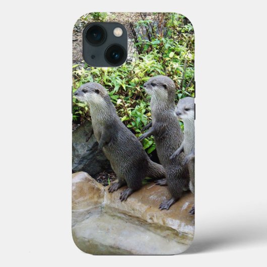**『三銃士たち：小さな灰色のカワウソの三尾 Case-Mate iPhoneケース (裏面)