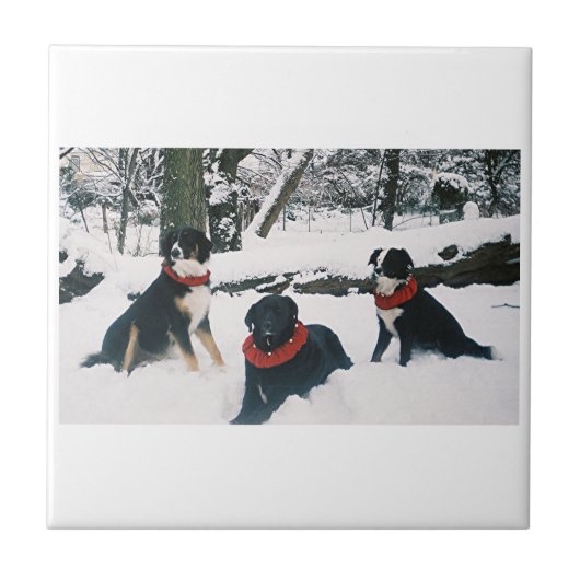 三銃士だ！ タイル (正面)