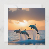 三頭のイルカが日没を見て飛び跳ねた。 セーブザデート (裏面)