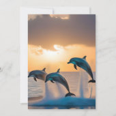 三頭のイルカが日没を見て飛び跳ねた。 招待状 (正面)