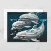 三頭のイルカ ポストカード (正面/裏面)