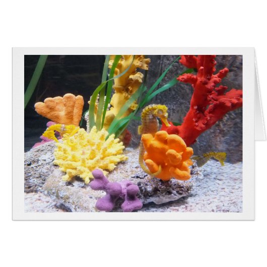 三頭の船員 (正面横)