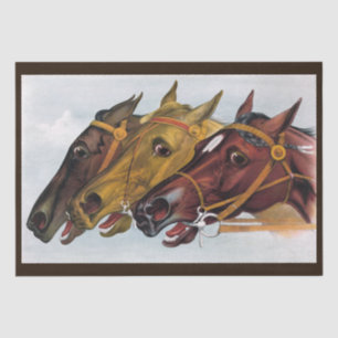 三馬ティッシュペーパー 薄葉紙