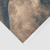 三馬ティッシュペーパー 薄葉紙 (詳細)