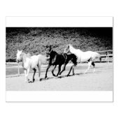 三馬印 ラバースタンプ (インプリント)