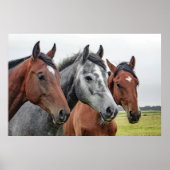 三馬 ポスター (正面)