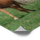 三馬 ポスター (角)