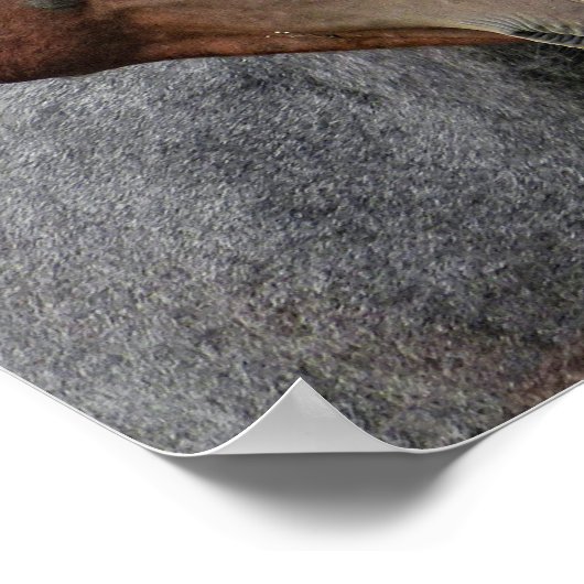 三馬 ポスター (角)