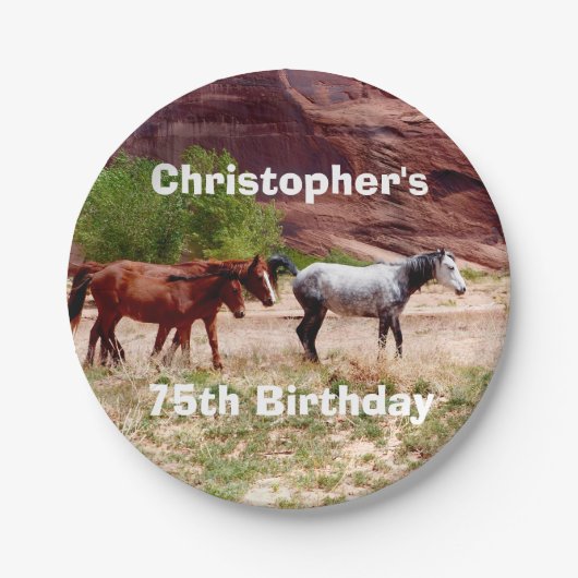 三馬、南西、75th誕生日パーティー ペーパープレート (正面)