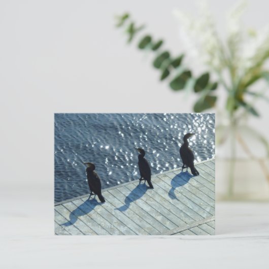 三鵜 ポストカード (スタンド正面)