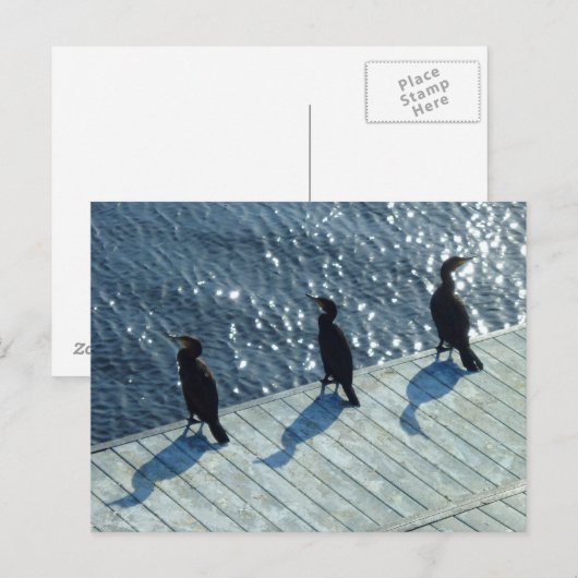 三鵜 ポストカード (正面/裏面)