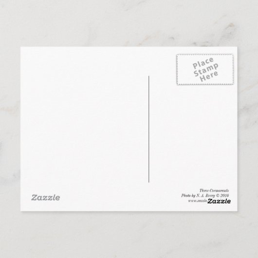 三鵜 ポストカード (裏面)