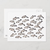 三〇バキタポルポワイルカ ポストカード (正面/裏面)