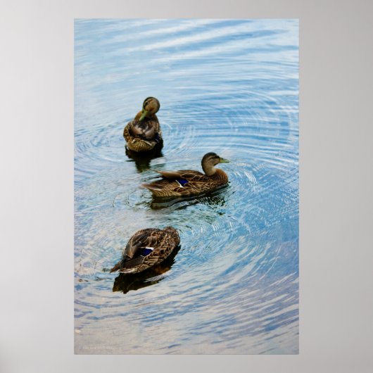 三 ポスター (正面)