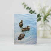 三 ポストカード (スタンド正面)