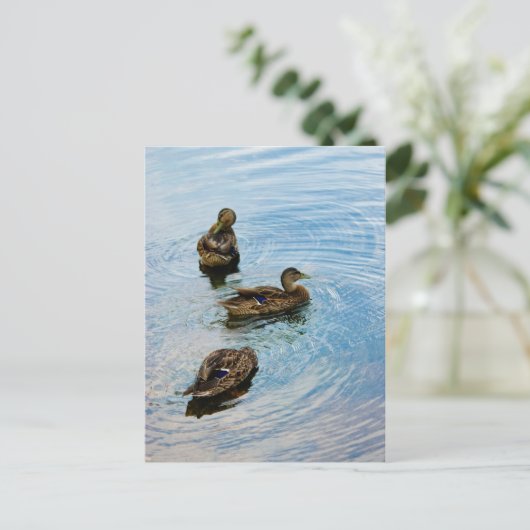 三 ポストカード (スタンド正面)