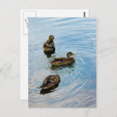 三 ポストカード (正面/裏面)