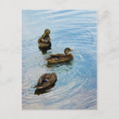 三 ポストカード (正面)