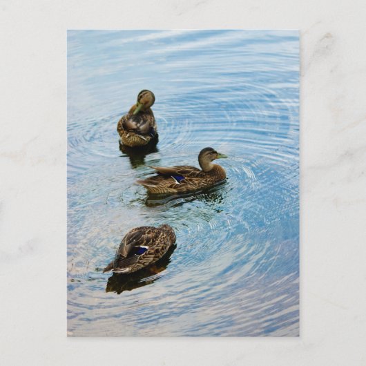 三 ポストカード (正面)