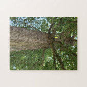 上からのエレガンス ジグソーパズル (横)