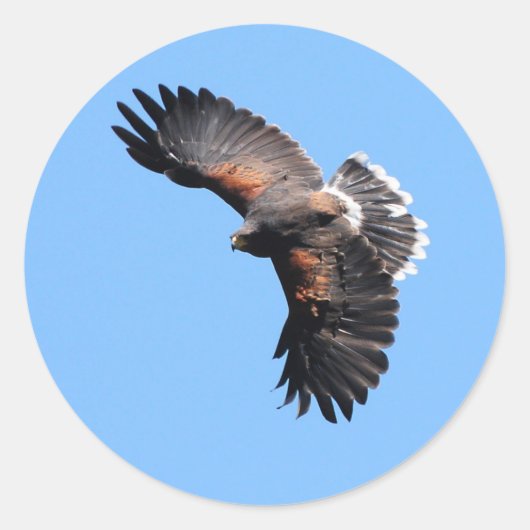 上からのビュー ラウンドシール (正面)