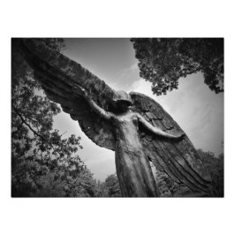 「上からの保護」 フォトプリント           