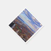 上からの眺め:セントラルパーク秋01 スタンダードカクテルナプキン (角)