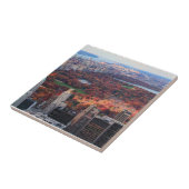 上からの眺め:セントラルパーク秋01 タイル (側面)