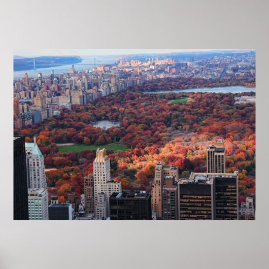 上からの眺め:セントラルパーク秋01 ポスター (正面)