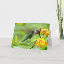 上から来の善い物