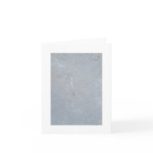 上から羽を抜く、カードのパーソナ空白のライゼーション