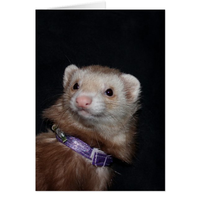 上がりました (正面)