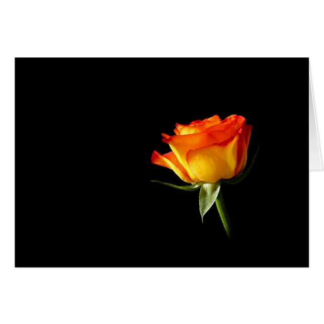 上がりました (正面横)