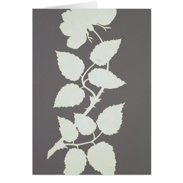 上がりました (正面)