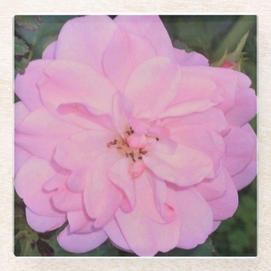 上がりました ガラスコースター (正面)