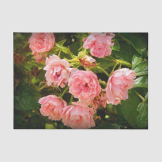 上がるバラのギフトのティッシュ 薄葉紙