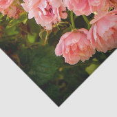 上がるバラのギフトのティッシュ 薄葉紙 (詳細)