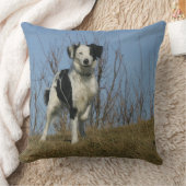 上がるボーダーコリーの足 クッション (ブランケット)