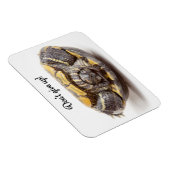 上げ過与えぎない亀の勇気付けられる マグネット (右側)