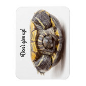 上げ過与えぎない亀の勇気付けられる マグネット (縦)