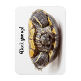 上げ過与えぎない亀の勇気付けられる マグネット