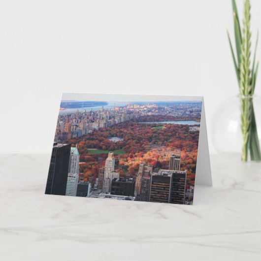 上でからの眺め: セントラル・パーク01の秋 カード (正面)