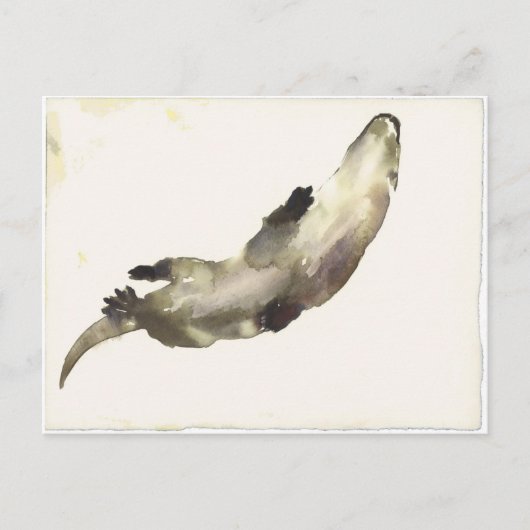 上で泳ぐ ポストカード (正面)