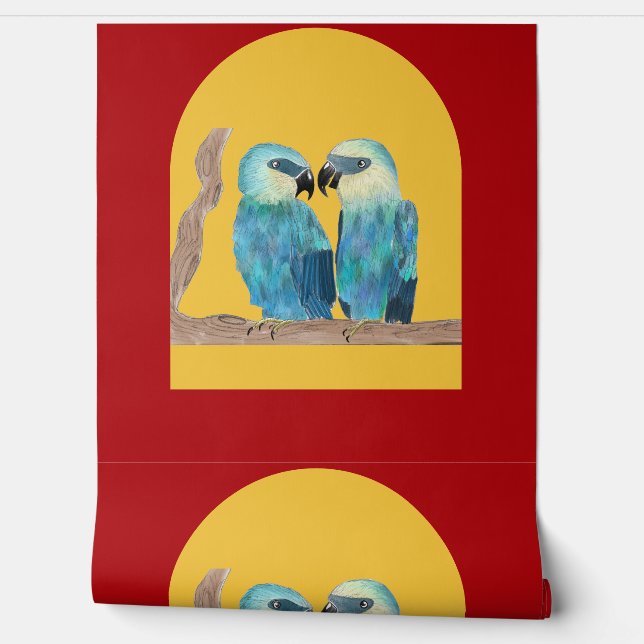 上でSpix's Macaws 壁紙 (ほどく)