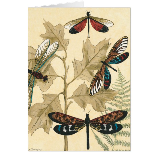 上にカラフル浮いているトンボ葉リ (正面)