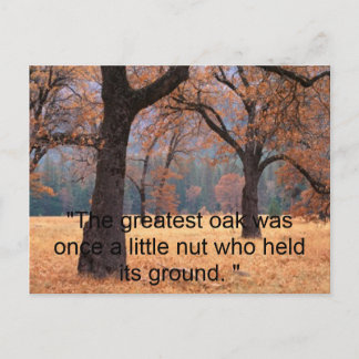 上に与えく ポストカード