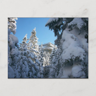 上に向かって。 ポストカード