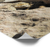 上に立つホワイトウールロッキーマウンテンヤギ ポスター (角)