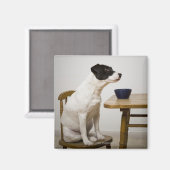 上のボウルの前の椅子に座っている犬 マグネット (正面/裏面)