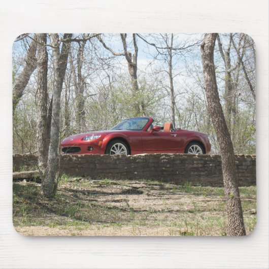 上のマウスパッド マウスパッド (正面)